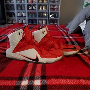 Nike Lebron 12